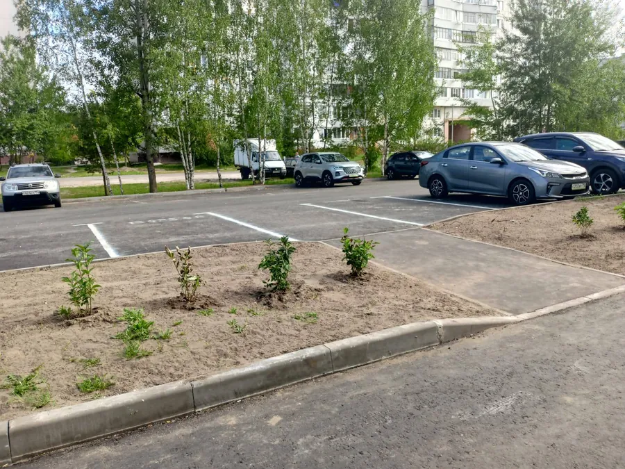 Готовая дворовая парковка: асфальт с разметкой, бортовой камень, дорожка и высаженный кустарник
